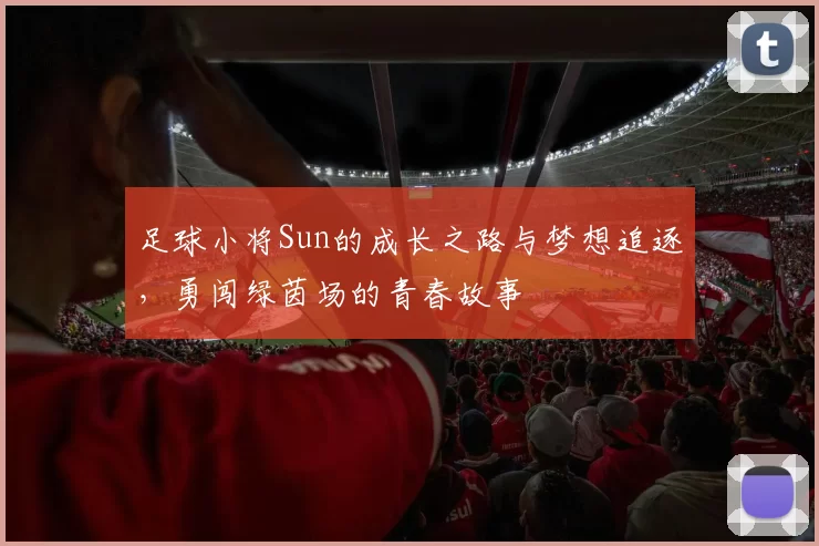 足球小将Sun的成长之路与梦想追逐，勇闯绿茵场的青春故事