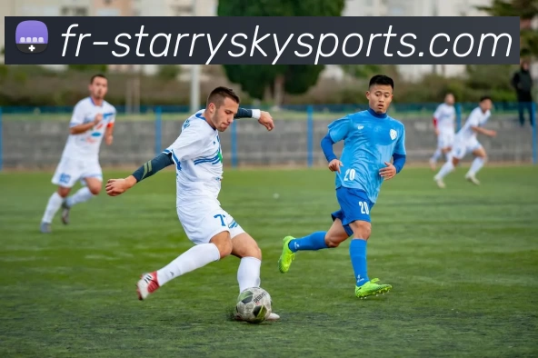 星空体育APP 封面图